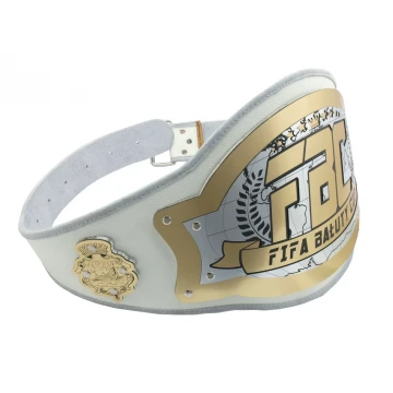 CHAMPION CHAMPIONSHIP BELT - TRANSITIONAL BELT - P021