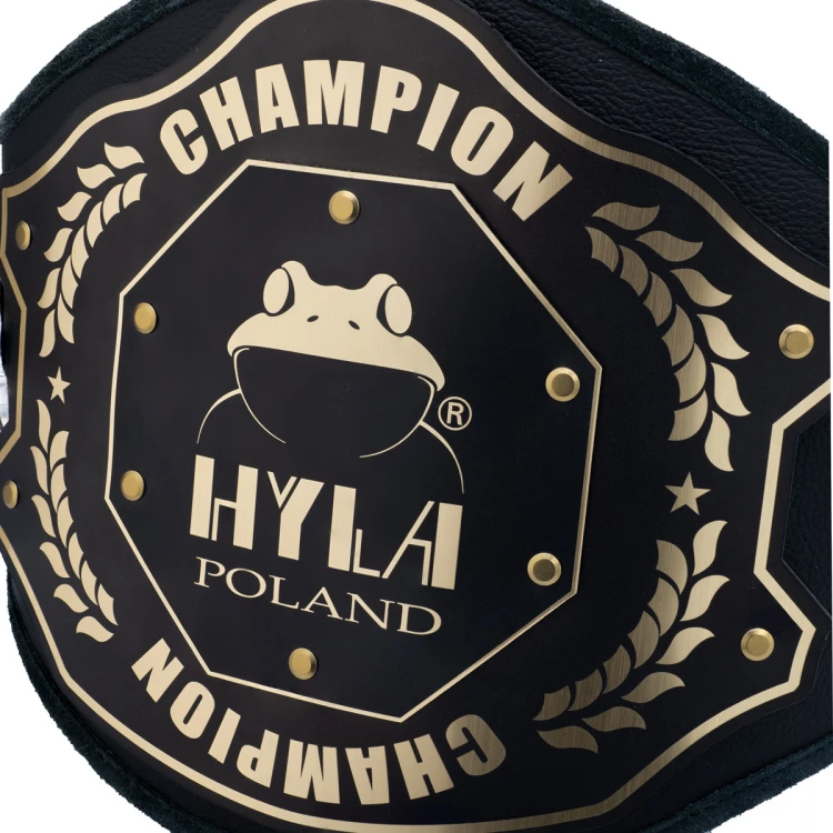 Champion Championship Belt - a gift for any occasion - P055