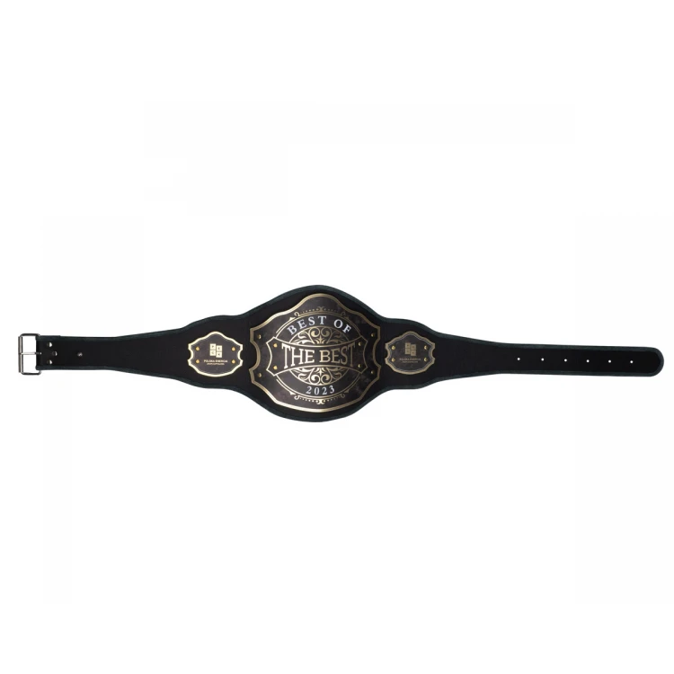 Champion Championship Belt - a gift for any occasion - P056