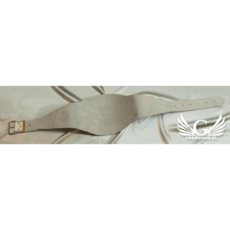 CHAMPION CHAMPIONSHIP BELT - TRANSITIONAL BELT - P021