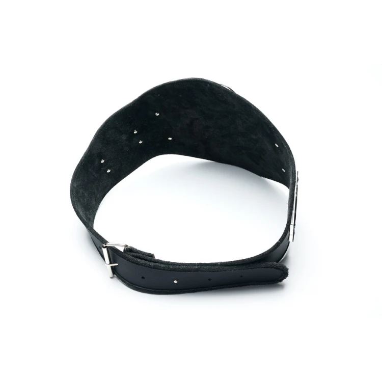 CHAMPIONSHIP BELT FOR SUPER DAD - P050