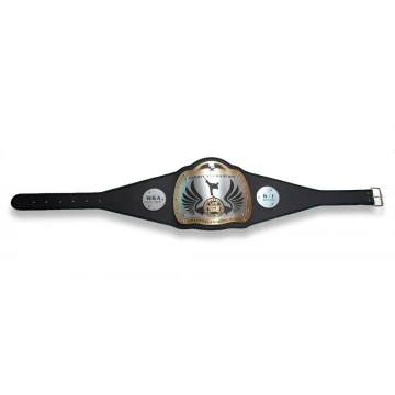 EUROPEAN CHAMPION CHAMPIONSHIP BELT - UFR - P008