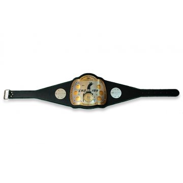 CHAMPIONSHIP BELT - INTERNATIONAL PIGEON RACE - P015