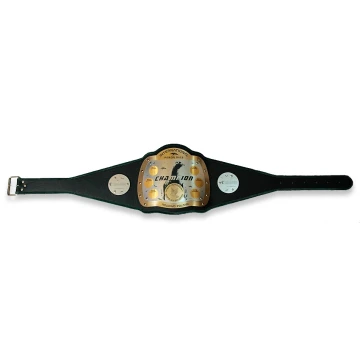 CHAMPIONSHIP BELT - INTERNATIONAL PIGEON RACE - P015