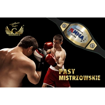 MMA CHAMPIONSHIP BELT - P027