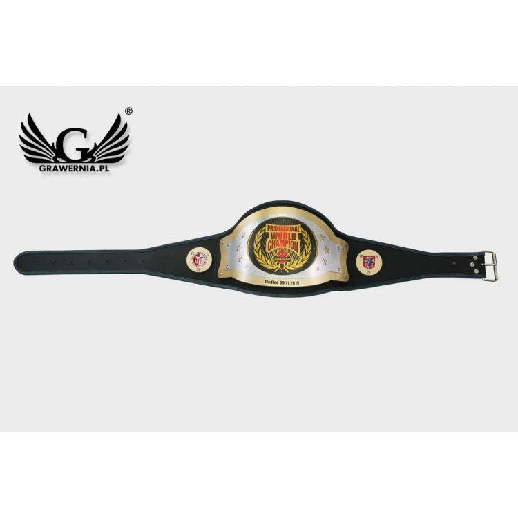 PROFESSIONAL WORLD CHAMPION BELT - P043