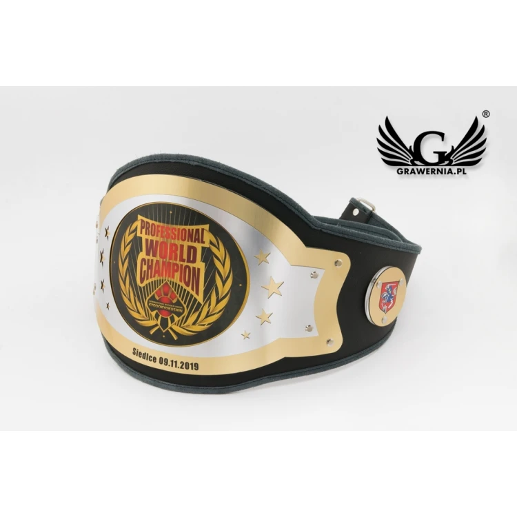 PROFESSIONAL WORLD CHAMPION BELT - P043