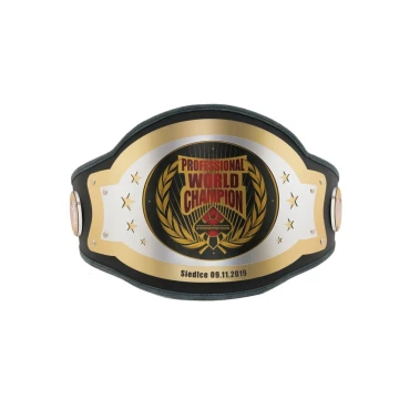 PROFESSIONAL WORLD CHAMPION BELT - P043