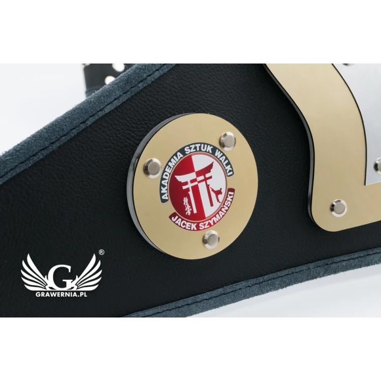 PROFESSIONAL WORLD CHAMPION BELT - P043
