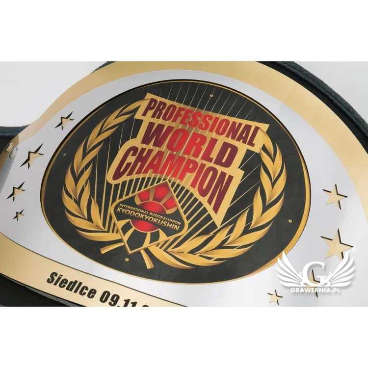 PROFESSIONAL WORLD CHAMPION BELT - P043