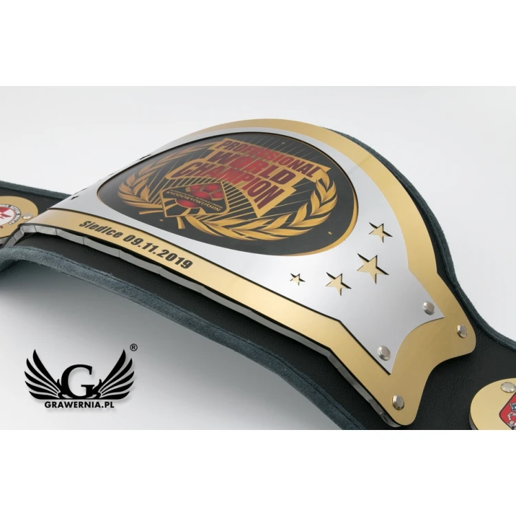 PROFESSIONAL WORLD CHAMPION BELT - P043