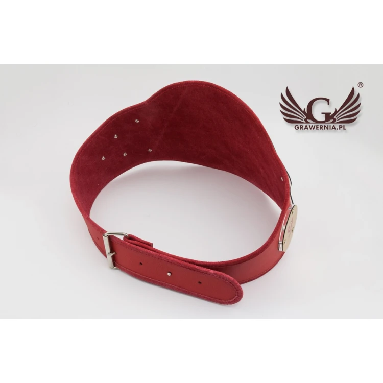 WORKOUT CHAMPION CHAMPIONSHIP BELT - P041