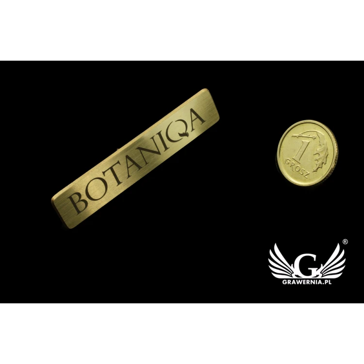 Metal Pins with Your Logo - size 45x9mm - PS016