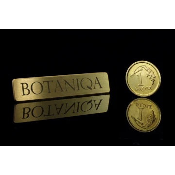 Metal Pins with Your Logo - size 45x9mm - PS016