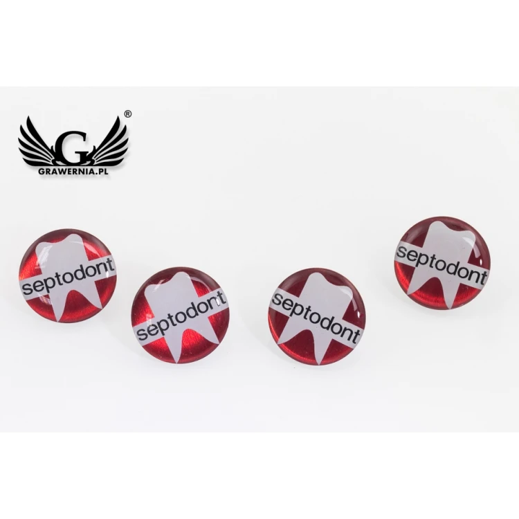 Brass Pins - Convex 3D Doming - Any Logo - PWD009