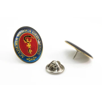 Brass Pins - Convex 3D Doming - Any Logo - PWD015