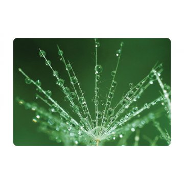 Protective Desk Mat with Custom Graphics, Photo - Size: 70x50cm - MOF020