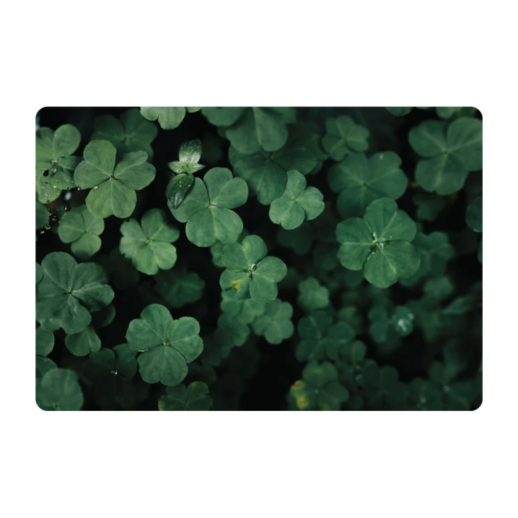 Protective Desk Mat with Custom Graphics, Photo - Size: 70x50cm - MOF022
