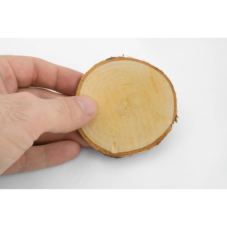 Thank You for Guests - Birch Bark - PD006