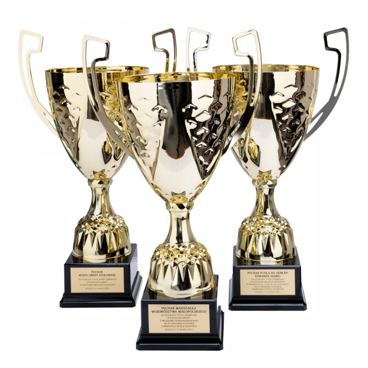Nelson Cup with Engraved Plaque - Gold - P4194A