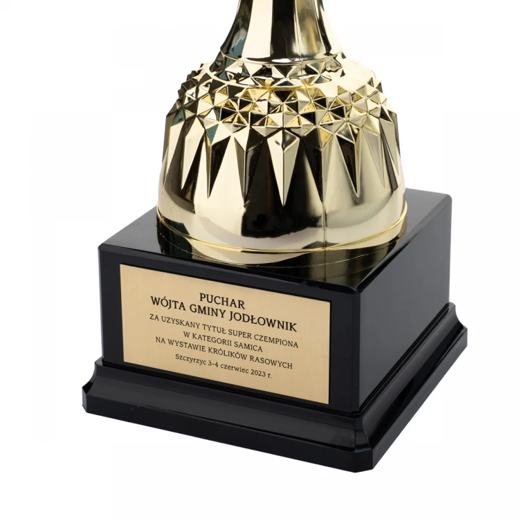 Nelson Cup with Engraved Plaque - Gold - P4194A