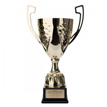 Nelson Cup with Engraved Plaque - Gold - P4194A