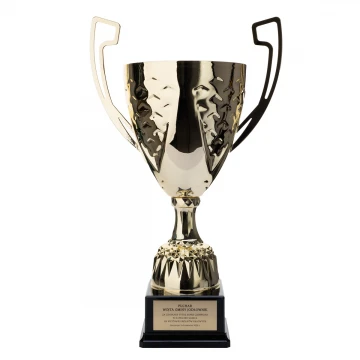 Nelson Cup with Engraved Plaque - Gold - P4194A