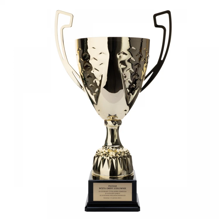 Nelson Cup with Engraved Plaque - Gold - P4194A