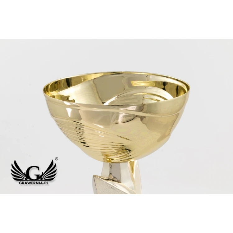 Vega Cup - Gold - PCH009
