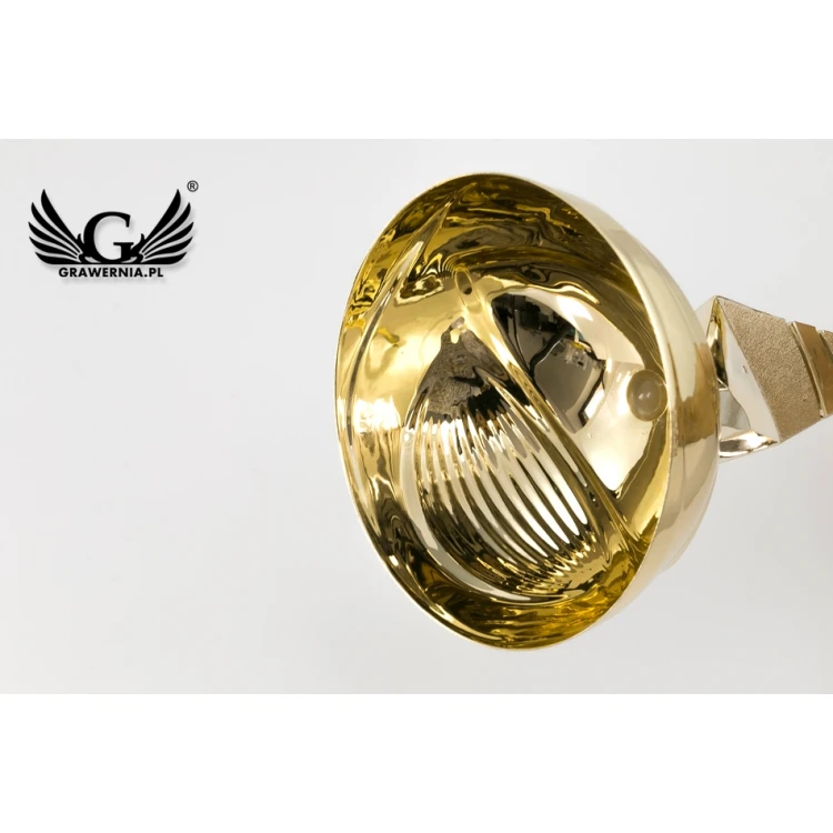 Vega Cup - Gold - PCH009