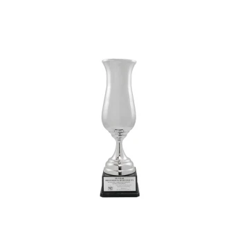 Vestus Cup - Silver - Football Tournament - PCH008