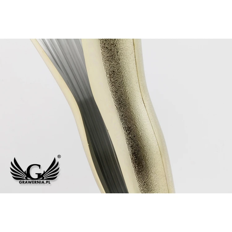 Victoria Cup - Gold - Award for Athlete - PCH005