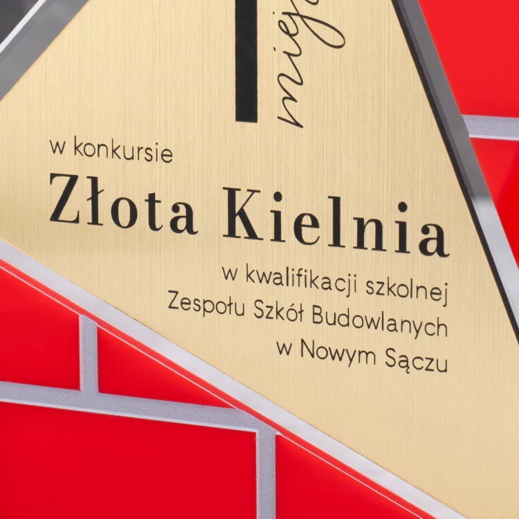 Acrylic Statuette - Award for Participation in a Contest - DTA098