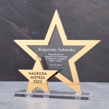 Acrylic Statuette - Award for Exceptional Achievement - Height 19cm - DTA107