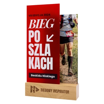 Sportsman's statuette - H 27 cm - DTA141