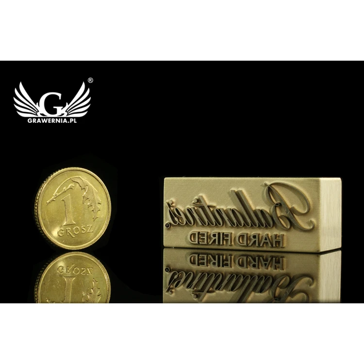 HOT STAMP for burning logo - matrix dimensions: 32x13.9mm - LASER' in the category 'Industry and Company / Dies and metal stamps'. Do not translate the category.