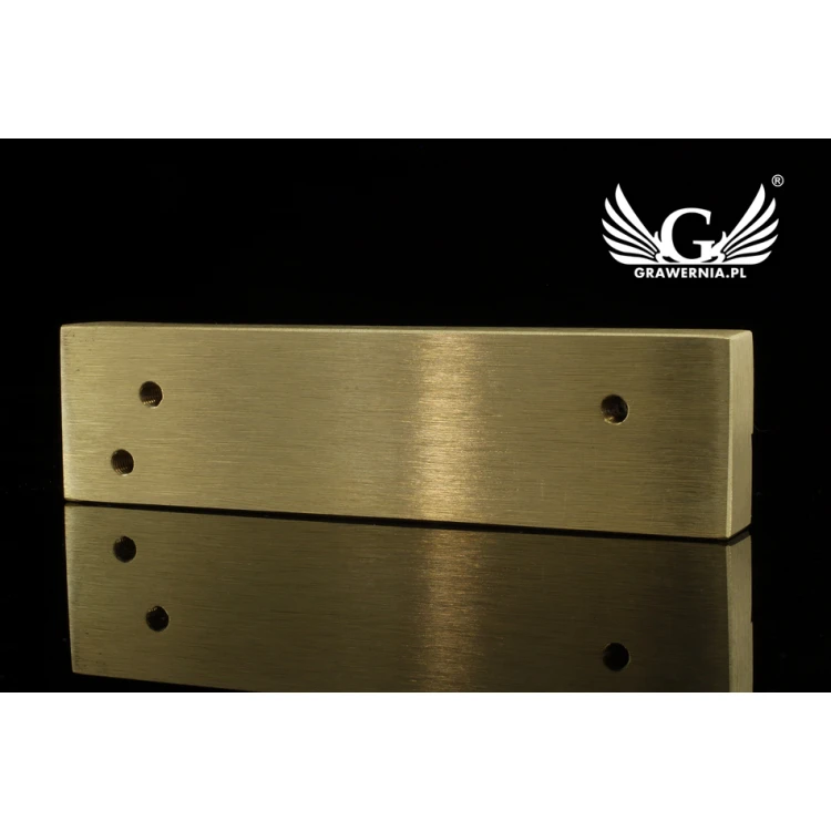 HOT STAMP for burning logo - matrix dimensions: 123x32mm - LASER' in the category 'Industry and Company / Dies and metal stamps'. Do not translate the category.