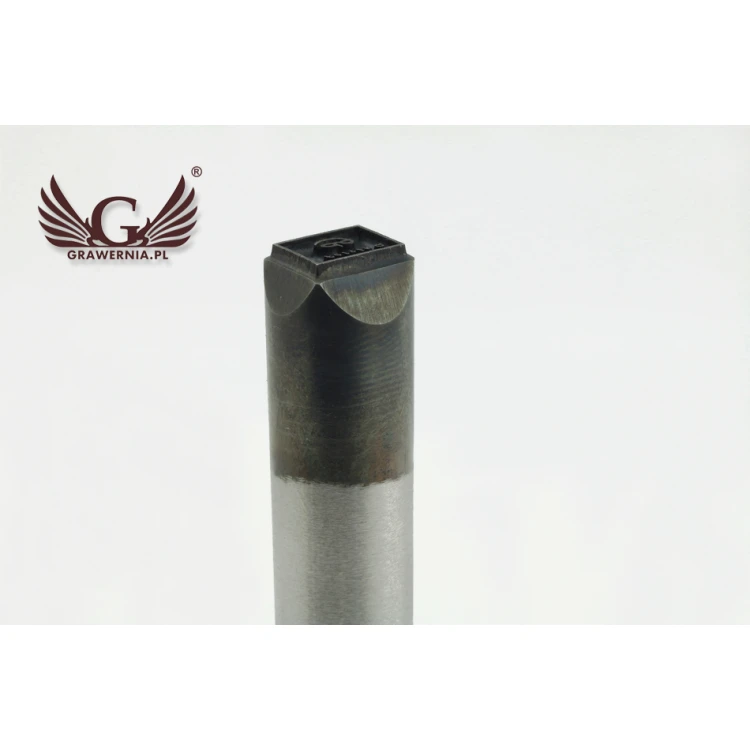 Steel stamp for metal punching - imprint size 10x7.6mm - LASER