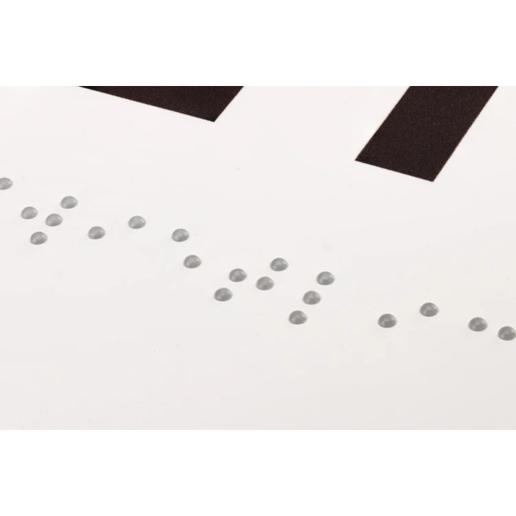 Common Room - Door or Wall Plaque with Braille Lettering - Size 310x100mm - PVC - UV Print - TAB286