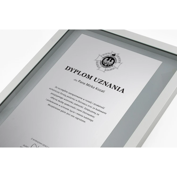 Glass Diploma in Silver Frame - DWR3
