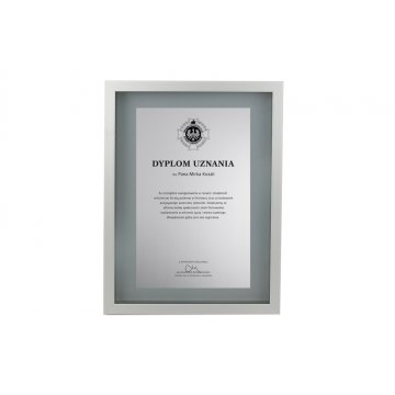 Glass Diploma in Silver Frame - DWR3