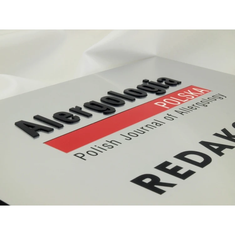 COMPANY SIGN - silver - SZ056 - A4 size 297x210mm