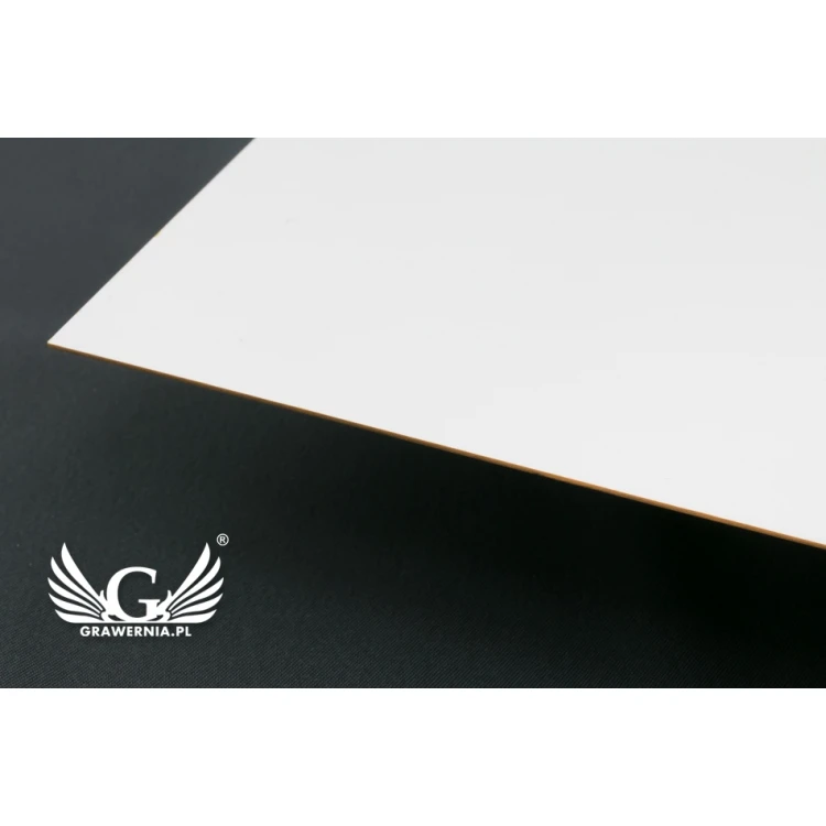 Company Signboard - size 420x300mm - white PVC material - SZ119