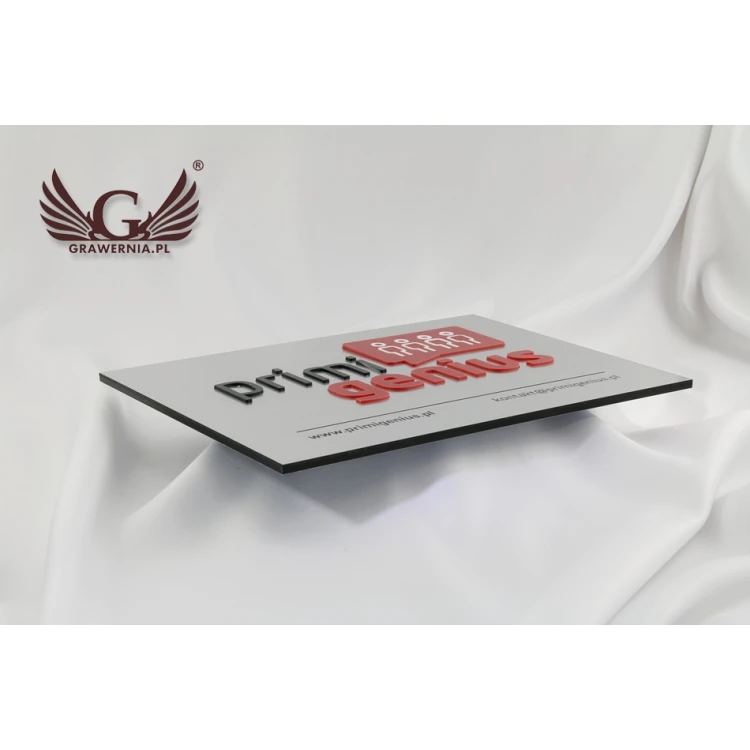 COMPANY SIGN with EMBOSSED LOGO - silver - SZ069 - dimensions 250x180mm