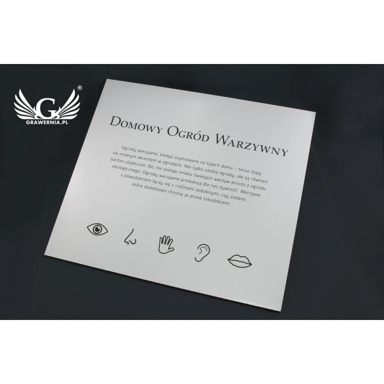 Information Sign - Matte Silver Engraving Laminate - Size 450x400mm - SZ116