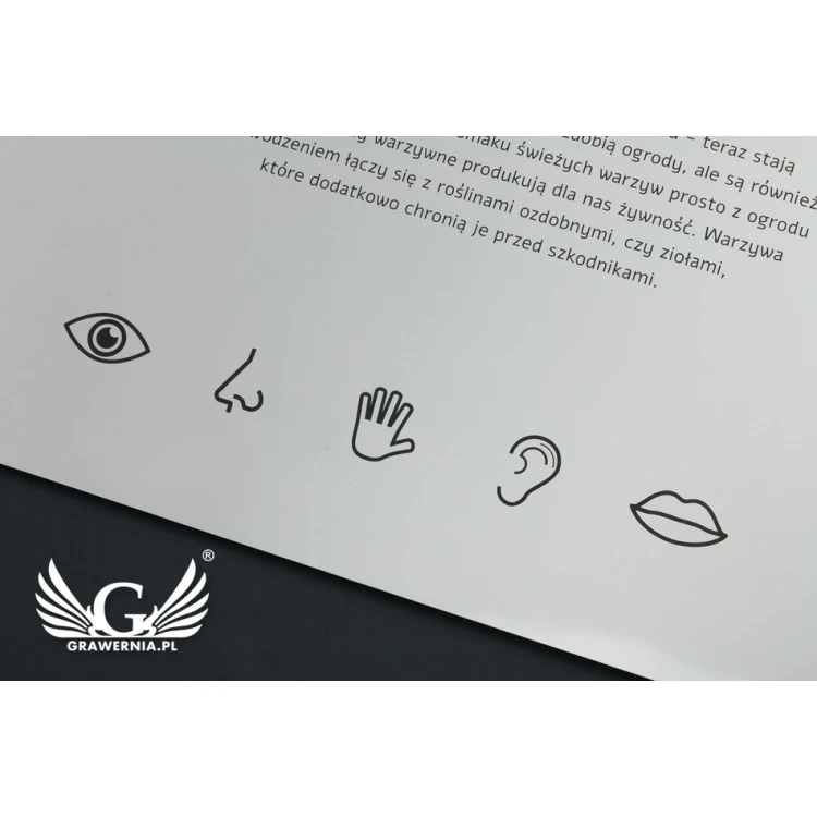 Information Sign - Matte Silver Engraving Laminate - Size 450x400mm - SZ116