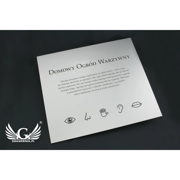 Information Sign - Matte Silver Engraving Laminate - Size 450x400mm - SZ116