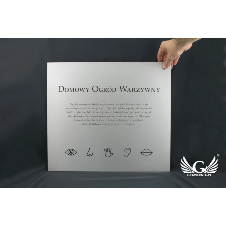 Information Sign - Matte Silver Engraving Laminate - Size 450x400mm - SZ116