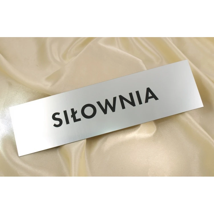 Plaques for school, office, hotel - SZ014 - size 290x80mm