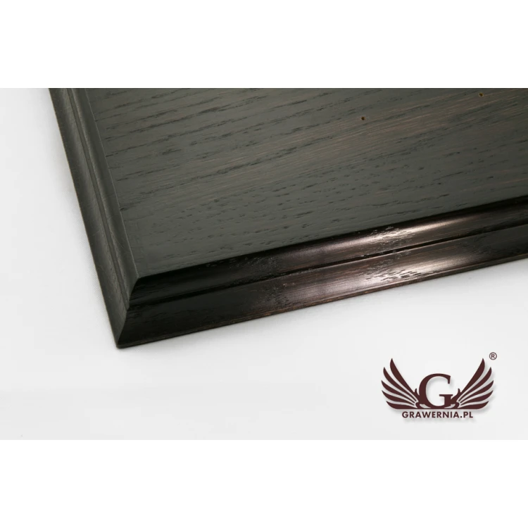 BOARD FOR HAMMERING STANDARD NAILS - DARK - size 580x470mm - TAB056